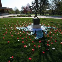 389 hand-made flowers, created by 4 of the detained women living in Postville